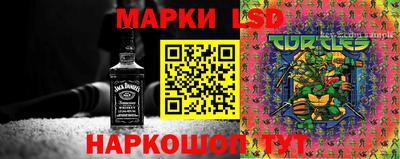 индика Ликино-Дулёво