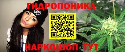 мяу мяу мука Лесосибирск