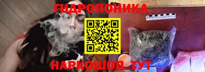 мяу мяу мука Лесосибирск