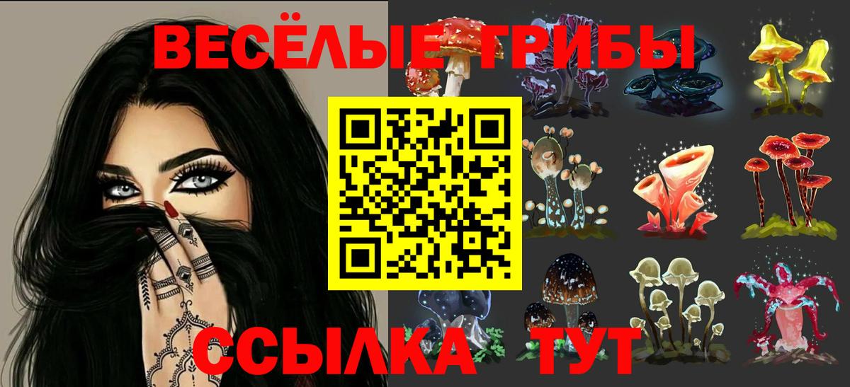 Фролово  Псилоцибиновые грибы Psilocybe  купить  сайты  Вход с VPN 